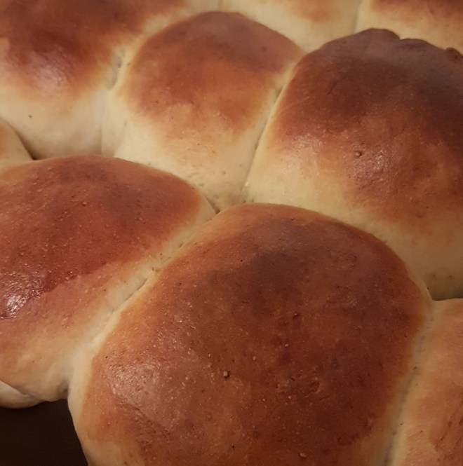 img_20170202_081412_374